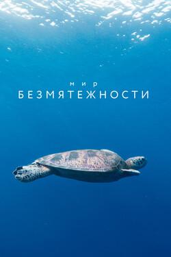 Мир безмятежности - смотреть онлайн