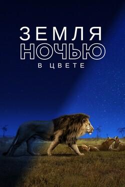 Земля ночью в цвете - смотреть онлайн