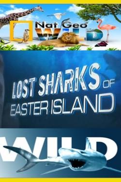 Nat Geo Wild: Потерянные акулы острова Пасхи - смотреть онлайн