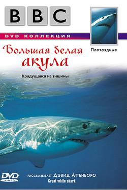 BBC: Большая белая акула - смотреть онлайн