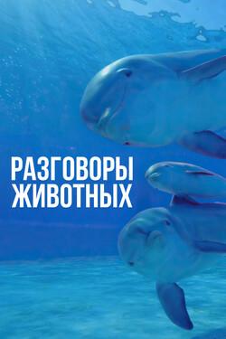 Разговоры животных - смотреть онлайн