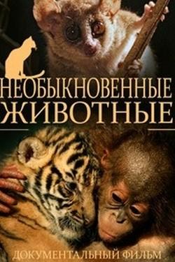 Необыкновенные животные - смотреть онлайн