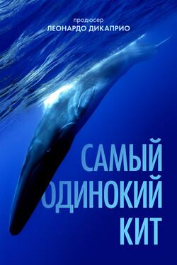 Самый одинокий кит - смотреть онлайн