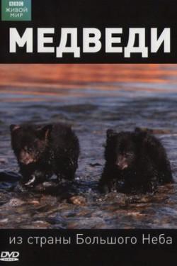 BBC: Медведи из страны большого неба - смотреть онлайн