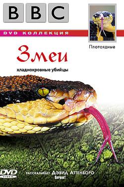 BBC: Змеи - смотреть онлайн