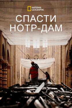 Спасти Нотр-Дам - смотреть онлайн